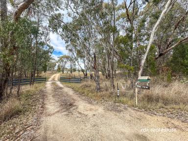 Acreage/Semi-rural For Sale - NSW - Inverell - 2360 - PINE VIEW - PRIVATE RURAL RETREAT (Image 2)