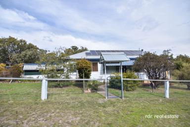 Acreage/Semi-rural For Sale - NSW - Inverell - 2360 - PINE VIEW - PRIVATE RURAL RETREAT (Image 2)