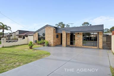 House For Sale - WA - Gosnells - 6110 - Renovated Gem - Zero Work Required!  (Image 2)