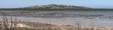 Residential Block For Sale - SA - Weeroona Island - 5495 - Excellent Block Awesome views  (Image 2)