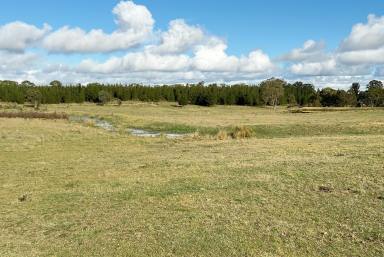 Lifestyle For Sale - NSW - Windellama - 2580 - 200 Acres, Graze, Ride, Enjoy & Build Your Country Home or Hobby Farm (Image 2)