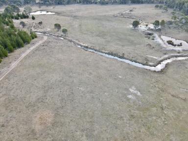 Lifestyle For Sale - NSW - Windellama - 2580 - 200 Acres, Graze, Ride, Enjoy & Build Your Country Home or Hobby Farm  (Image 2)