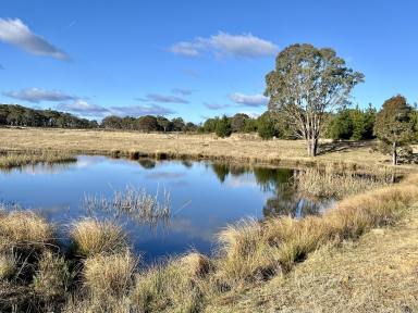 Lifestyle For Sale - NSW - Windellama - 2580 - 200 Acres, Graze, Ride, Enjoy & Build Your Country Home or Hobby Farm  (Image 2)