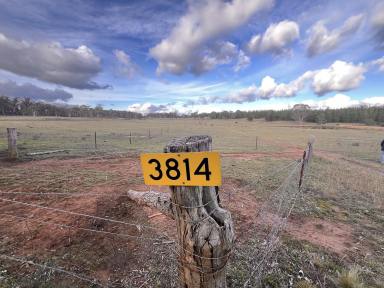 Lifestyle For Sale - NSW - Windellama - 2580 - 200 Acres, Graze, Ride, Enjoy & Build Your Country Home or Hobby Farm  (Image 2)