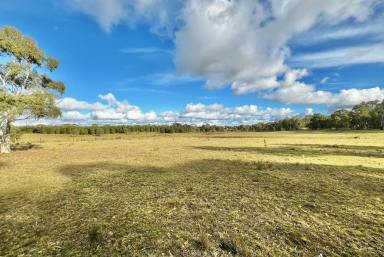 Lifestyle For Sale - NSW - Windellama - 2580 - 200 Acres, With Dwelling Entitlement To Build Your New Country Home Now!!  (Image 2)
