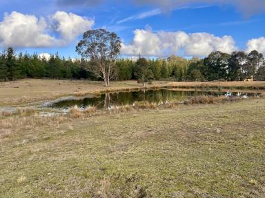 Lifestyle For Sale - NSW - Windellama - 2580 - 200 Acres, Graze, Ride, Enjoy & Build Your Country Home or Hobby Farm (Image 2)