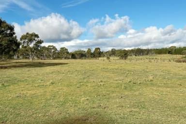 Lifestyle For Sale - NSW - Windellama - 2580 - 200 Acres, With Dwelling Entitlement To Build Your New Country Home Now!!  (Image 2)