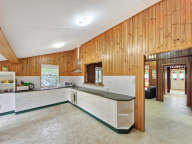 House For Sale - QLD - Herberton - 4887 - Tastefully Modernised 1930's Queenslander With Mountain Views (Image 2)