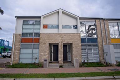 Townhouse For Lease - SA - Brighton - 5048 - New Townhouse with separate Studio Apartment  (Image 2)