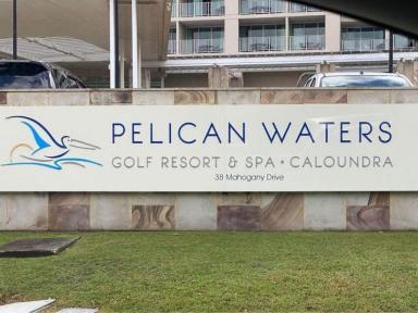 Studio For Lease - QLD - Pelican Waters - 4551 - SHORT TERM ACCOMMODATION PELICAN WATERS CALOUNDRA  (Image 2)