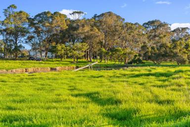 Other (Rural) For Sale - WA - Courtenay - 6288 - Native Timber, Productive Grazing & Water  (Image 2)