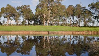Other (Rural) For Sale - WA - Courtenay - 6288 - Native Timber, Productive Grazing & Water  (Image 2)