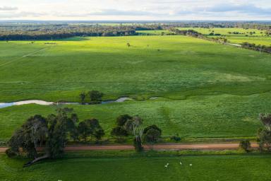 Other (Rural) For Sale - WA - Courtenay - 6288 - Native Timber, Productive Grazing & Water  (Image 2)