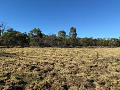 Residential Block For Sale - QLD - Stanthorpe - 4380 - This could be your new Country Retreat  (Image 2)
