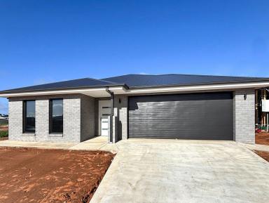 House For Sale - NSW - Gol Gol - 2738 - Stunning Brand New Home & Great Shed!  (Image 2)