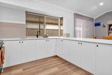 House For Sale - WA - Falcon - 6210 - Spacious Family Living with Endless Potential in a Sought-After Location  (Image 2)