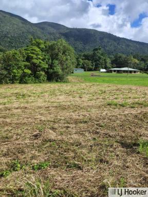 Residential Block For Sale - QLD - Tully - 4854 - Room to Dream, Minutes from Town  (Image 2)