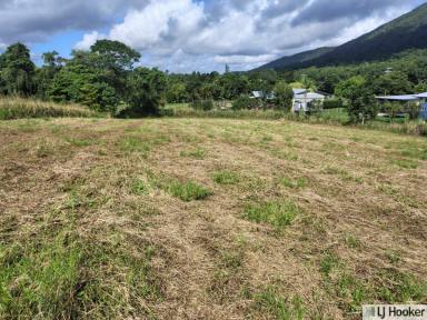 Residential Block For Sale - QLD - Tully - 4854 - Room to Dream, Minutes from Town  (Image 2)