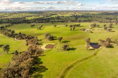 Mixed Farming For Sale - NSW - Kyeamba - 2650 - High rainfall grazing investment  (Image 2)