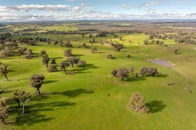 Mixed Farming For Sale - NSW - Kyeamba - 2650 - High rainfall grazing investment  (Image 2)