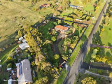 House For Sale - TAS - Otago - 7017 - Character, Space and an Outlook to Love  (Image 2)