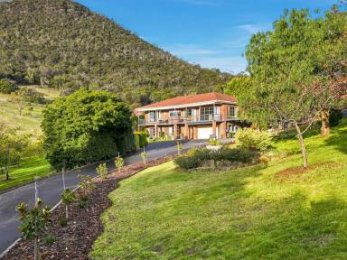 House For Sale - TAS - Otago - 7017 - Character, Space and an Outlook to Love  (Image 2)