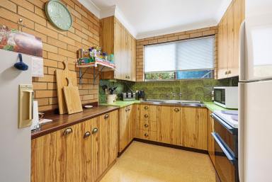 House For Lease - NSW - Tamworth - 2340 - Low Maintenance East Tamworth Living (Image 2)