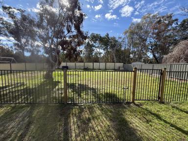 House For Sale - NSW - Inverell - 2360 - Neat and Tidy Home - On a large 1011m2 block  (Image 2)