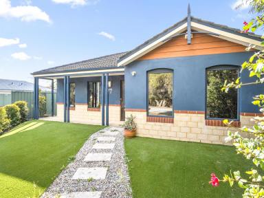 House For Sale - WA - Atwell - 6164 - Stylish Family Living in the Heart of Atwell (Image 2)