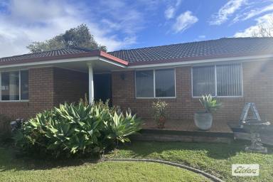 House For Lease - NSW - Taree - 2430 - Comfortable 2 Bedroom Home with Sunroom & Rear Access (Image 2)