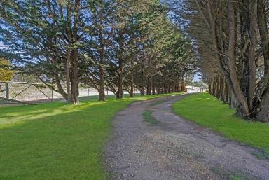 Lifestyle For Sale - NSW - Windellama - 2580 - Two Houses, 40 acres, Running Creek, Grazing & Lifestyle, Stables, Shed (Image 2)