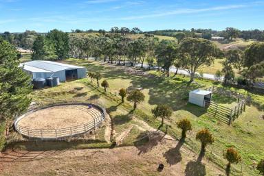 Lifestyle For Sale - NSW - Windellama - 2580 - Two Houses, 40 acres, Running Creek, Grazing & Lifestyle, Stables, Shed  (Image 2)