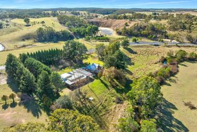Lifestyle For Sale - NSW - Windellama - 2580 - Two Houses, 40 acres, Running Creek, Grazing & Lifestyle, Stables, Shed (Image 2)