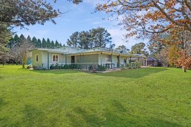 Lifestyle For Sale - NSW - Windellama - 2580 - Two Houses, 40 acres, Running Creek, Grazing & Lifestyle, Stables, Shed (Image 2)
