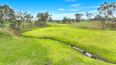Mixed Farming For Sale - NSW - Loomberah - 2340 - Loomberah Park (Image 2)