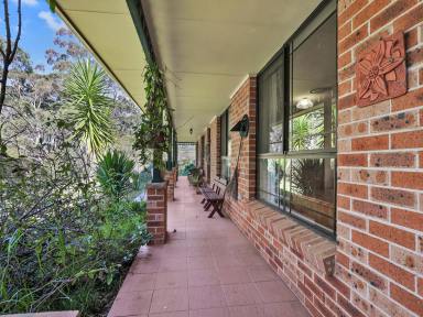 House For Sale - NSW - Bundanoon - 2578 - You'd  Better Be Quick - Motivated Vendor!  (Image 2)