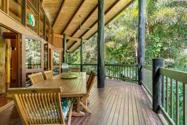 House For Sale - QLD - Daintree - 4873 - An Extraordinary Private Residence  (Image 2)