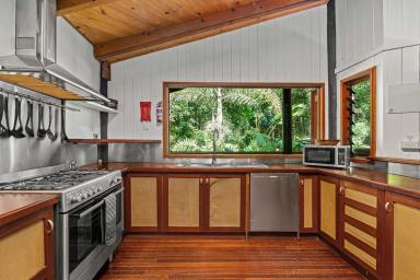 House For Sale - QLD - Daintree - 4873 - An Extraordinary Private Residence  (Image 2)