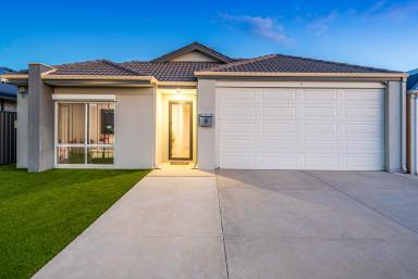 House For Sale - WA - Byford - 6122 - Designed for Growing Families. Built for Easy Living. (Image 2)