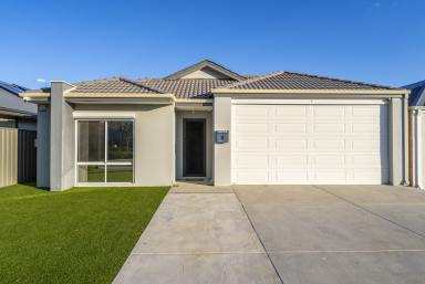 House For Sale - WA - Byford - 6122 - Designed for Growing Families. Built for Easy Living. (Image 2)