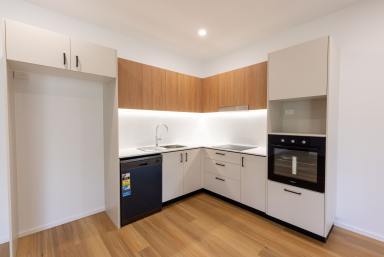House For Lease - QLD - Pomona - 4568 - Modern & Convenient Living in the Heart of Pomona  (Image 2)