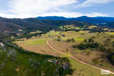Acreage/Semi-rural For Sale - NSW - Wyndham - 2550 - THE COMPLETE HOBBY FARM  (Image 2)