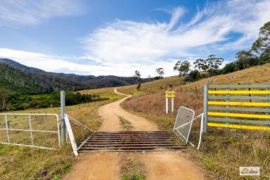 Acreage/Semi-rural For Sale - NSW - Wyndham - 2550 - THE COMPLETE HOBBY FARM  (Image 2)