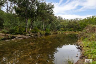 Acreage/Semi-rural For Sale - NSW - Wyndham - 2550 - THE COMPLETE HOBBY FARM  (Image 2)
