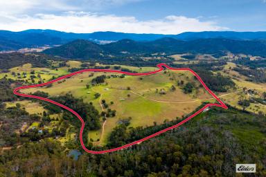 Acreage/Semi-rural For Sale - NSW - Wyndham - 2550 - THE COMPLETE HOBBY FARM  (Image 2)