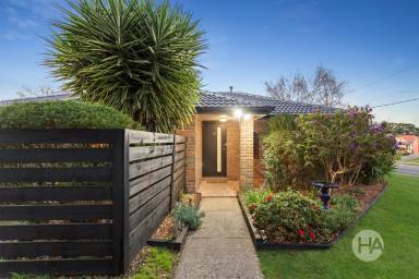 House For Sale - VIC - Somerville - 3912 - Year-Round Entertainer  (Image 2)