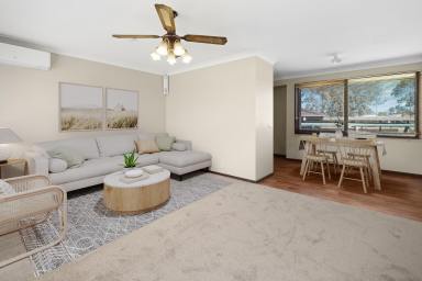 House For Sale - NSW - Raymond Terrace - 2324 - SOLID BONES, ENDLESS POSSIBILITIES!  (Image 2)