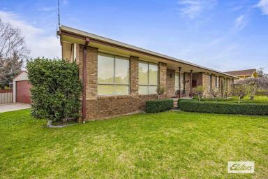 House For Sale - VIC - Stawell - 3380 - Spacious Family Living on a Generous Corner Allotment  (Image 2)