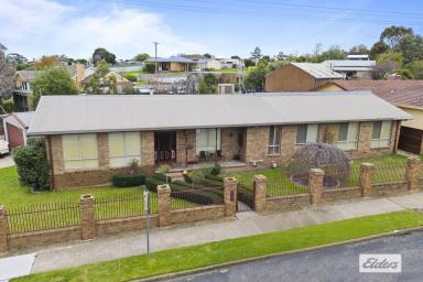 House For Sale - VIC - Stawell - 3380 - Spacious Family Living on a Generous Corner Allotment  (Image 2)