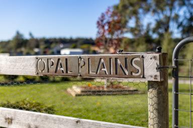 House For Sale - TAS - Beaconsfield - 7270 - Rural Freedom, Town Convenience  (Image 2)